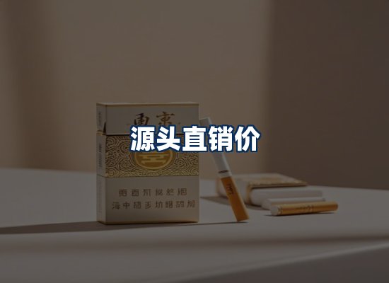 专业团队办公环境